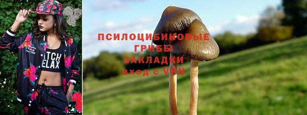 spice Абдулино