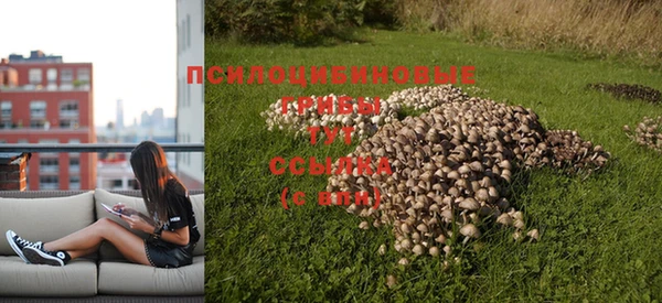 мет Алексин