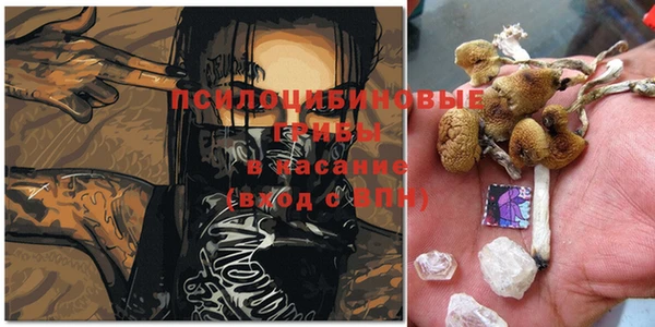 дмт Абинск
