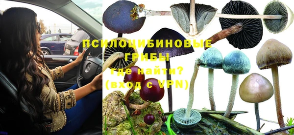 spice Абдулино