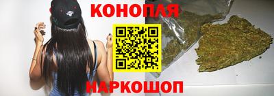 прущие грибы Ирбит