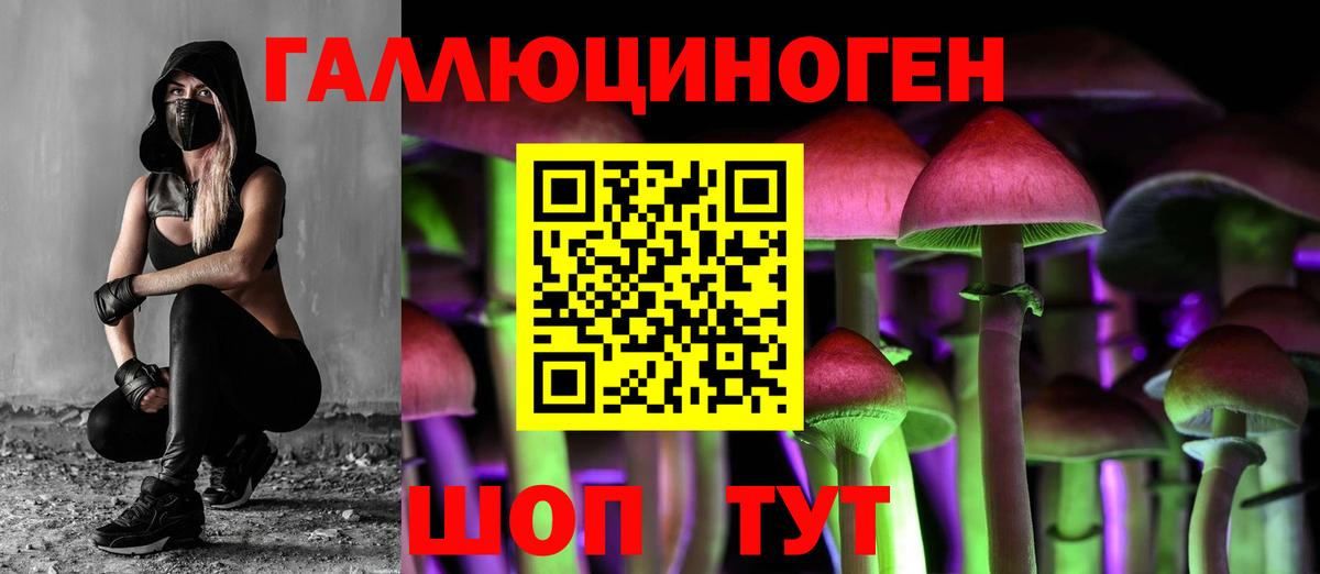 Псилоцибиновые грибы MAGIC MUSHROOMS  Вход с VPN  Лосино-Петровский  Галлюциногенные грибы прущие грибы 