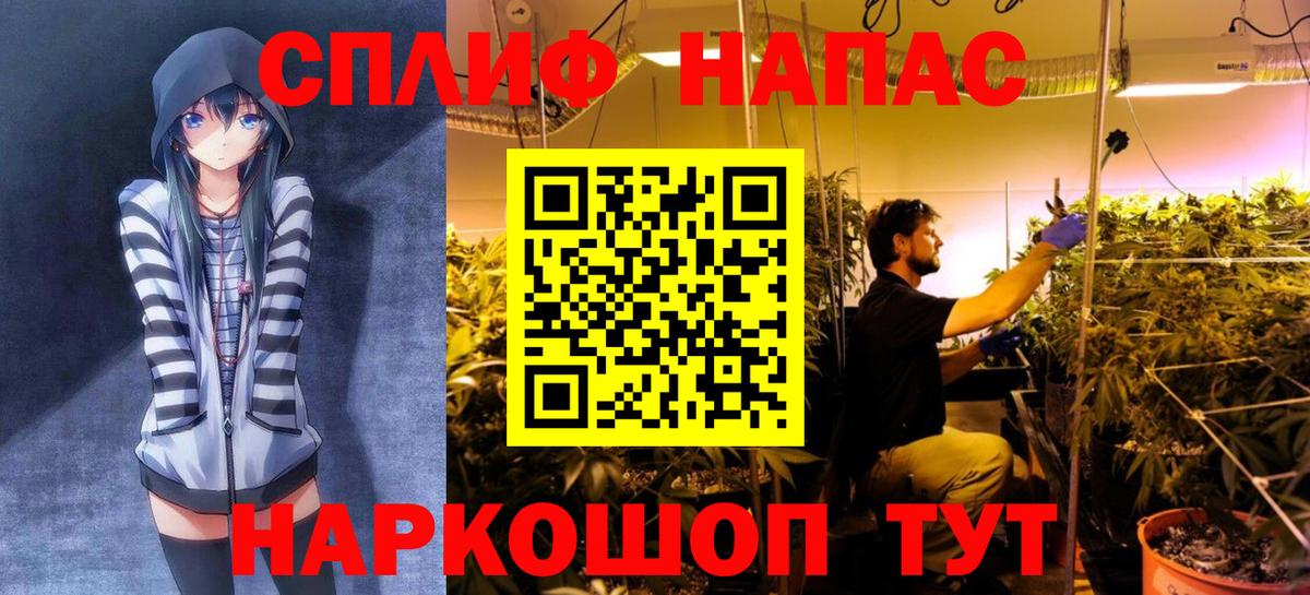 Шишки марихуана марихуана Лосино-Петровский